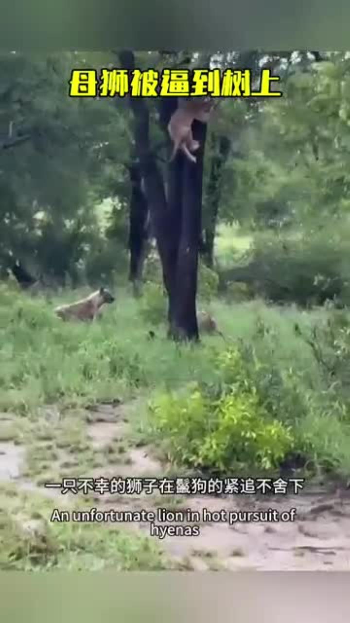 一触即发的紧张时刻，叫人揪心
