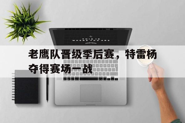 老鹰队晋级季后赛，特雷杨夺得赛场一战
